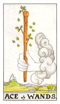 THE ACE OF WANDS